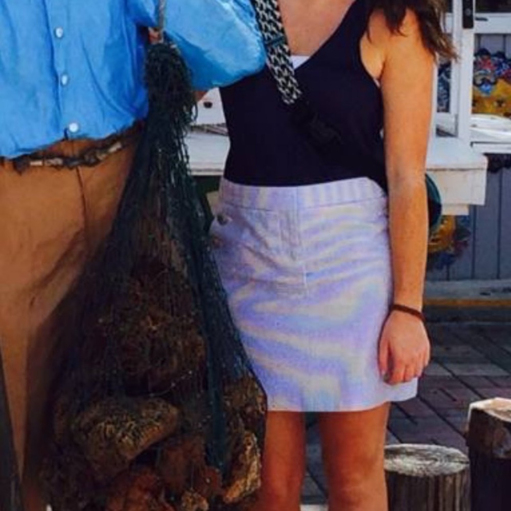 J.Crew nautical skirt with pockets - Picture 6 of 6